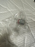 风力发电机模型小飞机彩灯玩具电动摩托车风能LED汽车氛围灯车载 发光小飞机-白【1个装】 实拍图