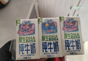 QQ星伊利原生DHA儿童纯牛奶125ml*16 年货礼盒【周深同款QQ星】10月产 实拍图