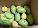 京喜加海南鲜芒果小台水果芒果新鲜上市 带箱6斤【单果90g以上】 实拍图