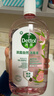 滴露（Dettol）香氛自然衣物消毒液杀菌48H留香洗衣除汗臭儿童玩具消毒水1L*4 实拍图
