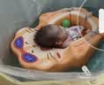 鲸保婴儿游泳圈0-24个月宝宝游泳圈新生儿浮圈免充气躺圈K7961 实拍图