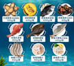 【现货】渔公码头海鲜礼盒海鲜大礼包海产年货礼盒年夜饭含海参斑等10种11.5斤源头直发 实拍图
