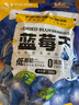 三只松鼠每日蓝莓干500g 蜜饯果干酸甜休闲零食下午茶孕妇儿童健康零食 实拍图