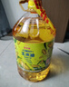 金龙鱼 食用油 非转基因 物理压榨玉米油6.18L（蕴含植物甾醇） 实拍图