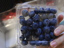 怡颗莓Driscoll's云南蓝莓14mm+ 2盒装 约125g/盒 新鲜年货水果  实拍图