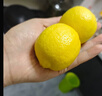 京鲜生 安岳黄柠檬16粒 单果95g起 生鲜水果 实拍图
