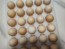 京鲜生柴鸡蛋30枚 3斤 无抗生素 谷物喂养鲜鸡蛋 源头直发 实拍图