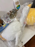 名创优品（MINISO）大白鹅系列毛绒公仔趴姿玩具抱枕睡觉室内卧室办公室生日礼物 实拍图