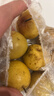 樱慕晴【JD地标认证】正宗辽宁鞍山南果梨东北特产南国梨香水梨新鲜水果 净重5斤【普装小果黄梨】约40枚 实拍图