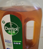 滴露（Dettol）消毒液洗衣衣物消毒水750mL 除螨杀菌春节大扫除 灭杀甲流感 非84 实拍图