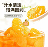 辣妹子桔片爽水果罐头橘子糖水罐头 年货休闲零食家庭量贩装260g*6瓶 实拍图