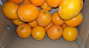 京鲜生 赣南脐橙 净重10斤 铂金果 单果180g起 生鲜水果橙子年货礼盒  实拍图