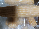 京鲜生东北白糯玉米330g*8根 甜黏玉米低脂早餐代餐粗粮真空装 源头直发 实拍图