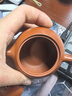 藏壶天下正宗宜兴原矿朱泥西施紫砂壶小容量纯手工茶壶茶具家用泡茶壶 朱泥西施（单壶） 220ml 实拍图