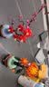 乐高（LEGO）积木拼装10369傲骨梅+10368黄金菊双组套 实拍图