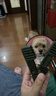 麦富迪狗狗零食 狗咬胶清齿倍健洁齿骨幼犬磨牙棒 小号500g 实拍图