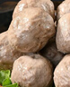 喜得佳纯牛肉丸200g*2盒肉含量高 潮汕关东煮火锅烧烤空气炸锅食材送礼 实拍图