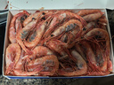 美加佳 格陵兰带壳北极甜虾 净重2斤 40-60只 原装进口 生甜虾  实拍图