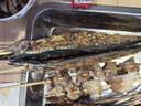 游牧御品 秋刀鱼 5串 350g 烤鱼烧烤秋刀鱼串 海鲜烧烤食材 生鲜鱼深海鱼  实拍图