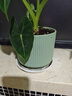 陶瓷花盆绿植盆栽亚光北欧风简约花盆大号桌面绿植盆送塑料托盘 蓝色 中号（13*13*12.3） 实拍图