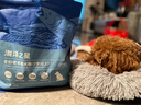 海洋之星 三文鱼中小型犬狗粮金毛比熊边牧狗粮成犬小颗粒12kg（6kg*2） 实拍图