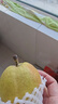 京鲜生 新疆库尔勒香梨 净重10斤 特级 单果120g以上 生鲜水果 实拍图