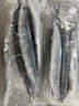 深海秋刀鱼 新鲜海捕船冻锁鲜无冰日式料理海鲜烧烤食材 生鲜鱼类 海捕秋刀鱼4斤（5-7条/斤） 实拍图