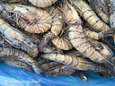 禧美海产 鲜冻大号黑虎虾 净重3斤装 45-60只/盒 单冻大虾 海鲜 年货 送礼 实拍图