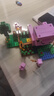 乐高（LEGO）积木我的世界21268 猪宝宝房屋男孩女孩儿童玩具生日礼物新年装饰 实拍图