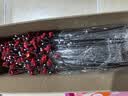 客厅仿真花梅花腊梅假花家居装饰电视柜玄关创意黑色陶瓷花瓶摆件 10支红色梅花+黑色拉丝花瓶 实拍图