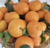 京鲜生 正宗广西砂糖橘礼盒净重4.5斤 单果35-55mm年货礼盒源头直发包邮 实拍图