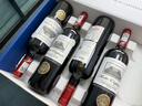 北极象【品牌金奖】法国进口红酒整箱 14度干红葡萄酒750ml*6瓶礼盒送礼 实拍图