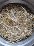 七鲜【有机】黄豆芽 200g 实拍图