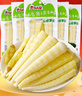 云乡人家泡椒竹笋尖即食山椒手剥笋片小包装年货节休闲零食品小吃24g*20袋 实拍图