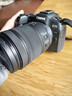 佳能（Canon）RF 24-105mm F4-7.1 IS STM 全画幅微单相机镜头 标准变焦镜头 【保税仓发货】  实拍图