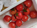 京鲜生沙瓤粉西红柿 净重3斤 单果100g+果菜两吃 源头直发 【搜生鲜馆】 实拍图