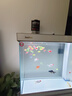 森森（SUNSUN）大型鱼缸底过滤水族箱客厅家用落地玻璃生态金鱼缸 【实时温显+灯控】珍珠白 0.8米长35cm宽 实拍图