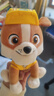 汪汪队立大功（PAW PATROL）毛绒玩具狗狗陪睡玩偶经典款小砾小号坐姿可爱公仔男女孩生日礼物 实拍图