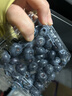 怡颗莓Driscoll's 云南蓝莓14mm+ 12盒装 约125g/盒 新鲜水果礼盒 实拍图