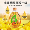 狮球唛非转基因压榨一级玉米油6.18L  团购送礼  百年品牌 实拍图