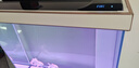 森森（SUNSUN）大型鱼缸底过滤水族箱客厅家用落地玻璃生态金鱼缸 【实时温显+灯控】珍珠白 0.8米长35cm宽 实拍图