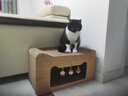 萌嘟星宠 猫抓板猫窝猫玩具猫沙发别墅立式带小球磨爪猫咪用品 猫耳朵款 实拍图