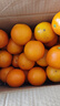 果果牛湖南麻阳冰糖橙 应当季新鲜水果手剥甜橙子高山夏脐血多汁 可选 净重9斤(单果60-65mm)推荐 实拍图
