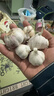 京喜自营精选大蒜水果蒜调料蔬菜火锅烧烤牛肉小龙虾食材 推荐 5-6头 100g 单果3.5-5cm 实拍图