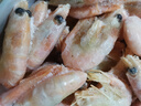 海皇湾格陵兰头籽北极甜虾北极熊腹籽刺身特大号冰虾元宝虾籽虾 【头籽礼盒】 3斤(净重)  90-120 实拍图