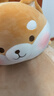 名创优品（MINISO）趣味阿柴系列趴姿毛绒公仔娃娃玩偶儿童玩具抱枕靠枕生日礼物女 实拍图