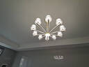 雷士（NVC）欧美轻奢水晶玻璃语音智能吊灯客厅吊灯餐厅灯灯具WHXD120F/G-01 实拍图