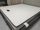 海马飞雪床垫席梦思天然椰棕乳胶独立弹簧床垫酒店厚薄双人家用榻榻米垫子 15cm双面款(乳胶+独立弹簧+椰棕) 1.5x2米 实拍图