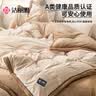 洁丽雅A类加厚秋冬牛奶绒四件套双人珊瑚绒牛奶绒被套220*240cm 实拍图