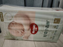 好奇（Huggies）小森林纸尿裤M50片(6-11kg)尿不湿心钻【透氧顶配更低敏】 实拍图